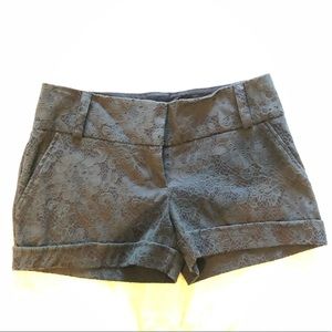 Size 3/4 Navy Dress Shorts from Maurice’s